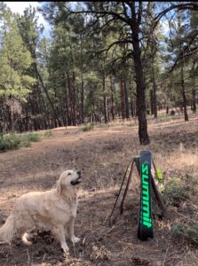 Summit skiboards with mascot